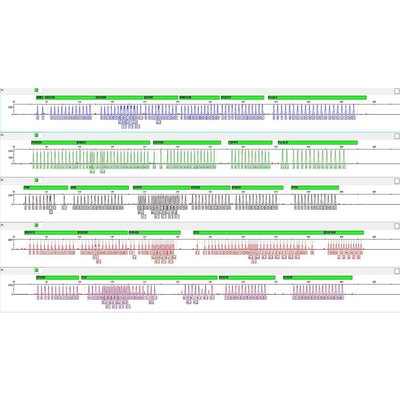 AMGENE-4 for 3500 series, 384 samples